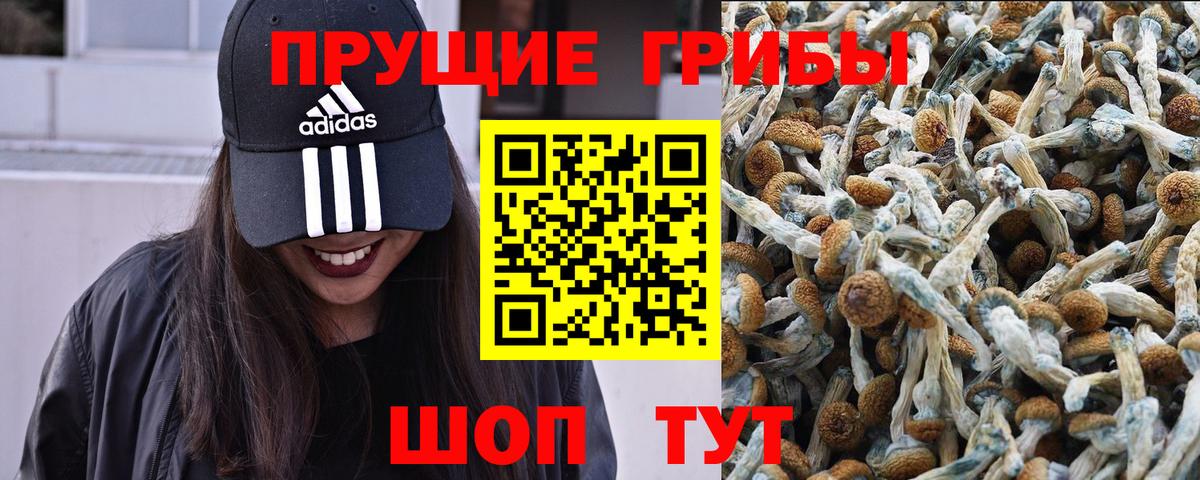 Скопин  Галлюциногенные грибы ЛСД  Вход с VPN 